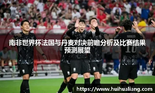 南非世界杯法国与丹麦对决前瞻分析及比赛结果预测展望